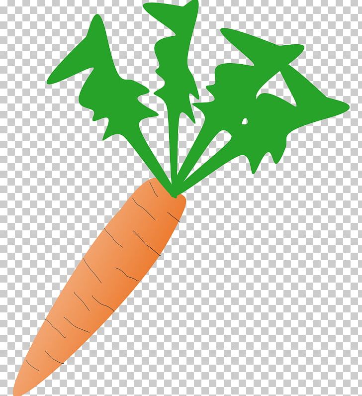 Carrot Vegetable Scalable Graphics PNG, Clipart, Carrot, Download, Food, Food Group, Free Content Free PNG Download