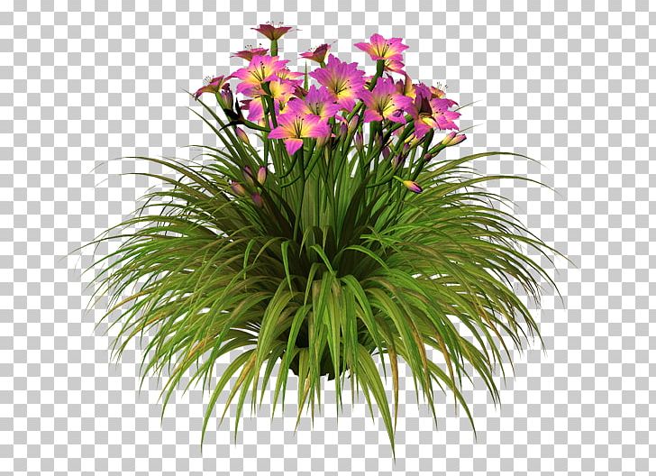 Floral Design Flowerpot Cut Flowers Grasses Houseplant PNG, Clipart, Annual Plant, Art, Cut Flowers, Family, Fleur Free PNG Download