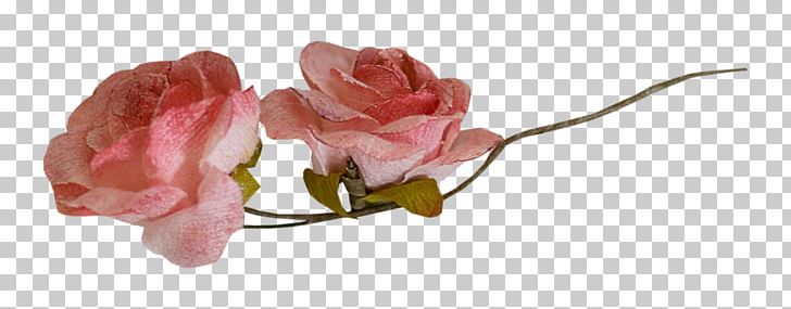 Garden Roses Pink Nosegay Flower PNG, Clipart, Administrador, Beach Rose, Body Jewelry, Color, Cut Flowers Free PNG Download