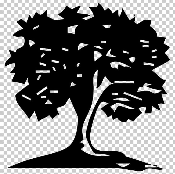 Tree Planting Trunk Evergreen Hedge PNG, Clipart, Art, Black And White, Branch, Computer Wallpaper, Evergreen Free PNG Download