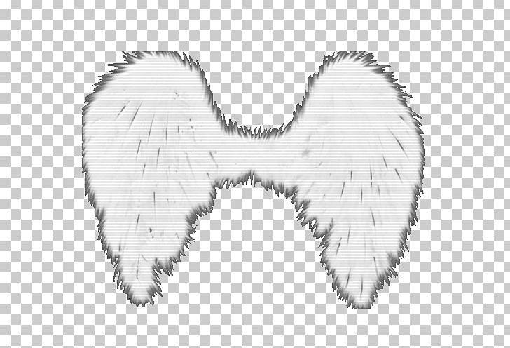 Fur Feather Tail White PNG, Clipart, 500 X, Ala, Animals, Black And White, Deviantart Free PNG Download