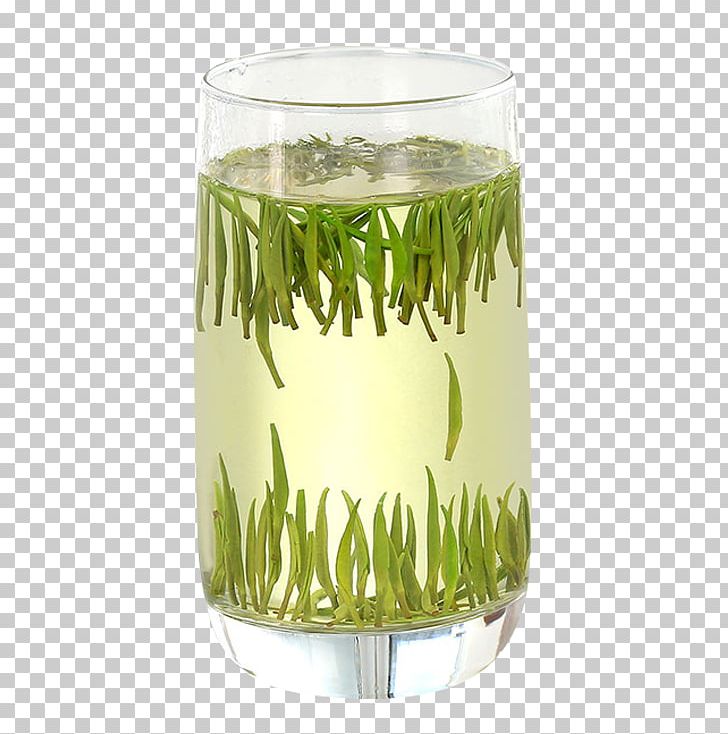 Green Tea Junshan Yinzhen Oolong Flowering Tea PNG, Clipart, Bamboo, Black Tea, Brewing, Buxus, Characteristics Free PNG Download