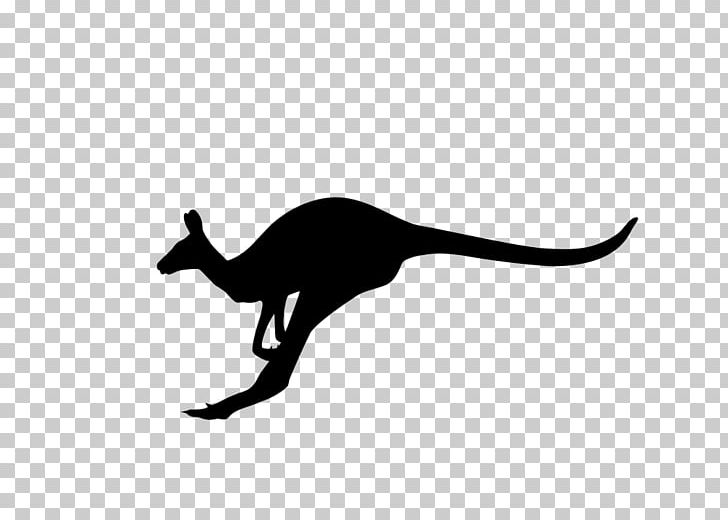 Macropodidae Australia Kangaroo Silhouette PNG, Clipart, Animal, Animals, Australia, Black, Black And White Free PNG Download
