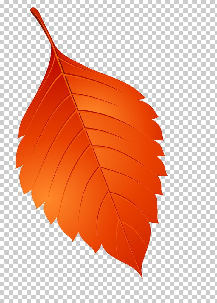 Leaf PNG, Clipart, Autumn, Autumn Leaves, Computer Icons, Leaf, Leaflet Free PNG Download