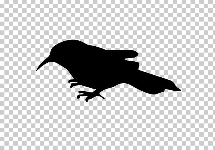 Bird Silhouette Icon PNG, Clipart, Animal, Animals, Beak, Black, Black And White Free PNG Download