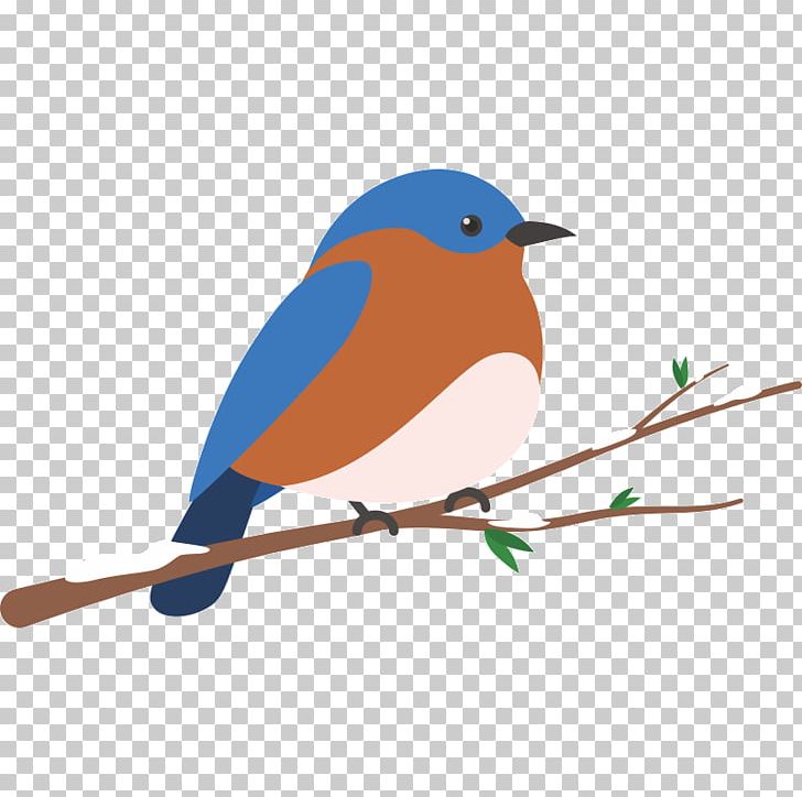 European Robin Bird PNG, Clipart, Animals, Beak, Bird, Bluebird, Branch Free PNG Download