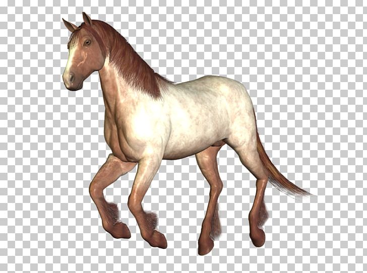 Mustang Foal Stallion Colt Pony PNG, Clipart, Animal Figure, Cabal, Colt, Faq, Foal Free PNG Download