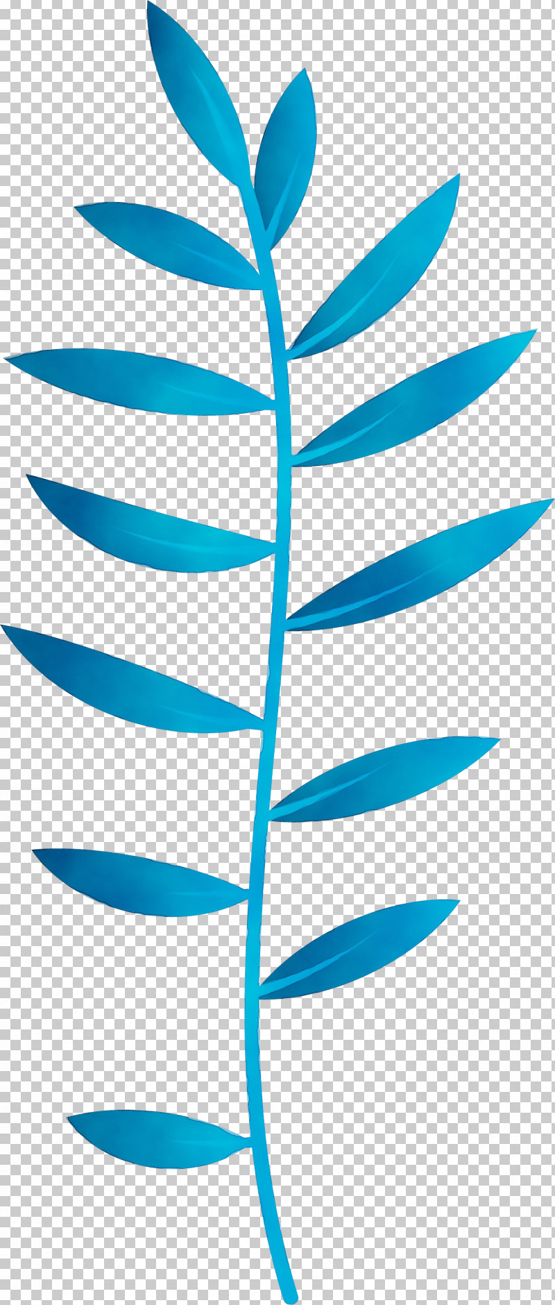 Plant Stem Leaf Angle Line Teal PNG, Clipart, Angle, Area, Biology, Leaf, Line Free PNG Download