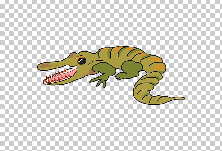 Crocodile Alligator Caiman (Genus) Drawing PNG, Clipart, Alligator, Animal, Animals, Baby Crocodile, Caiman Free PNG Download