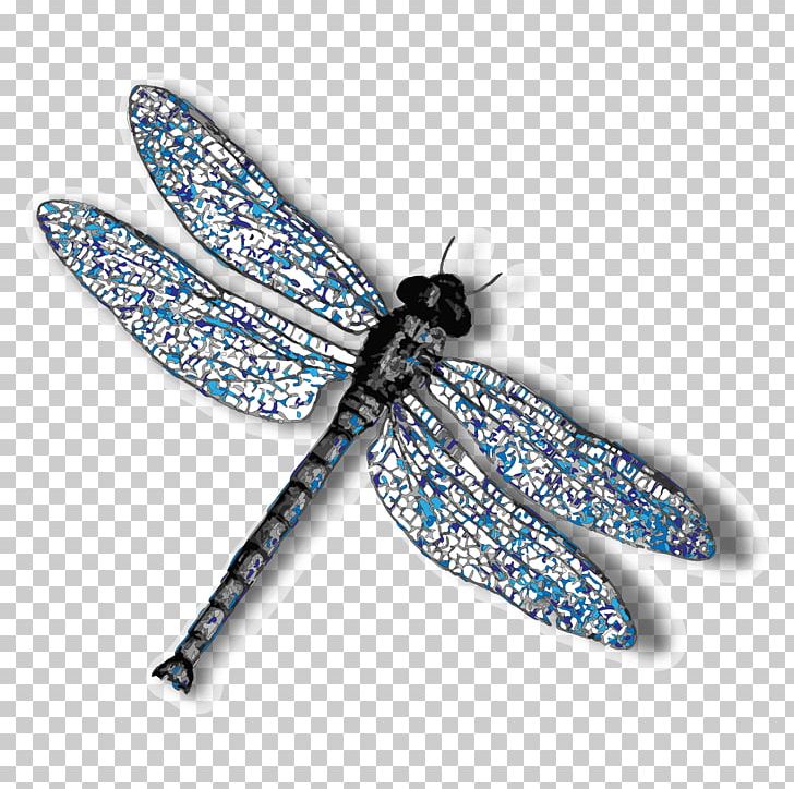 Insect Dragonfly PNG, Clipart, Arthropod, Butterfly, Clip Art, Color, Dragonflies And Damseflies Free PNG Download