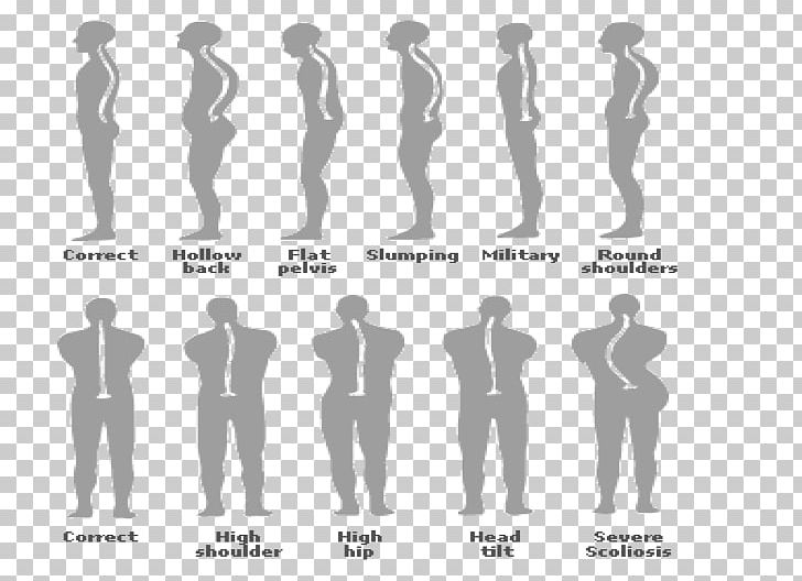 Neutral Spine Poor Posture Human Body Vertebral Column Asento PNG, Clipart, Arm, Asento, Back Pain, Chiropractic, Diagram Free PNG Download