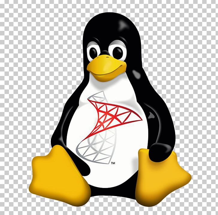 Tux Racer Linux Kernel Penguin PNG, Clipart, Beak, Bird, Computer, Debian Gnulinux, Flightless Bird Free PNG Download