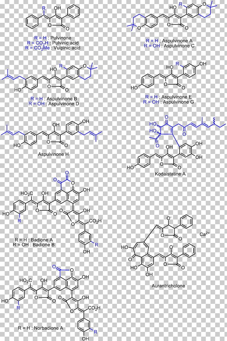 Vancomycin-resistant Enterococcus Line Angle PNG, Clipart, Angle, Area, Art, Diagram, Enterococcus Free PNG Download