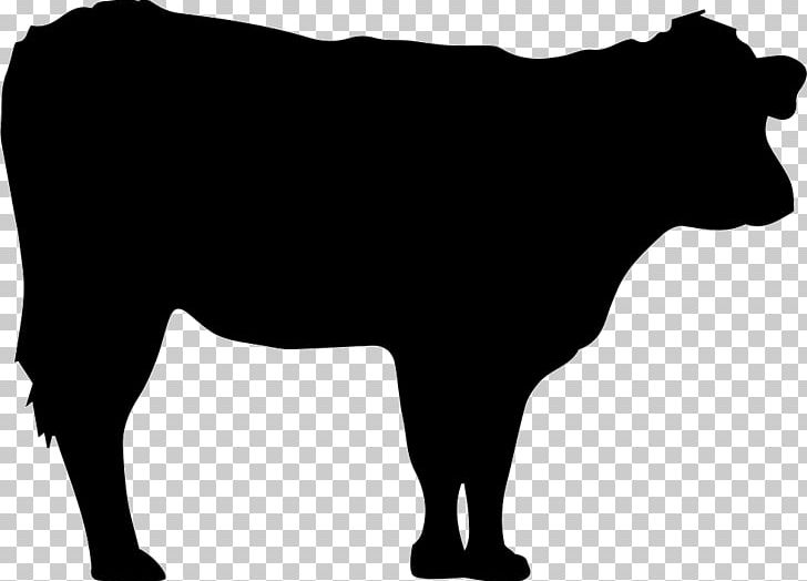 Jersey Cattle Angus Cattle Black Hereford Hereford Cattle PNG, Clipart, Angus Cattle, Beef, Black, Black And White, Black Hereford Free PNG Download