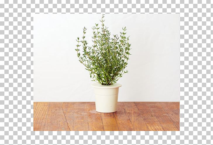 Lemon Thyme Herb Garden Thyme Caraway Thyme PNG, Clipart, Basil, Breckland Thyme, Caraway Thyme, Chives, Flowerpot Free PNG Download