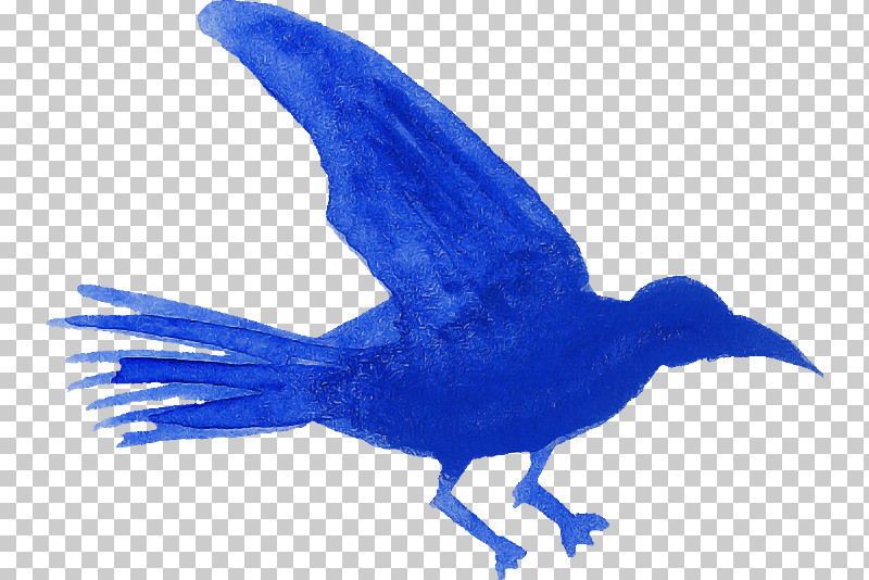 Feather PNG, Clipart, Animal Figurine, Beak, Biology, Birds, Bluebirds Free PNG Download