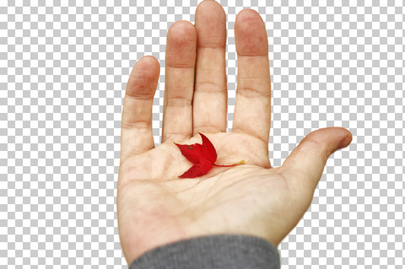 Hand Model Sign Language Language Nail Hand PNG, Clipart, Hand, Hand Model, Hm, Language, Nail Free PNG Download