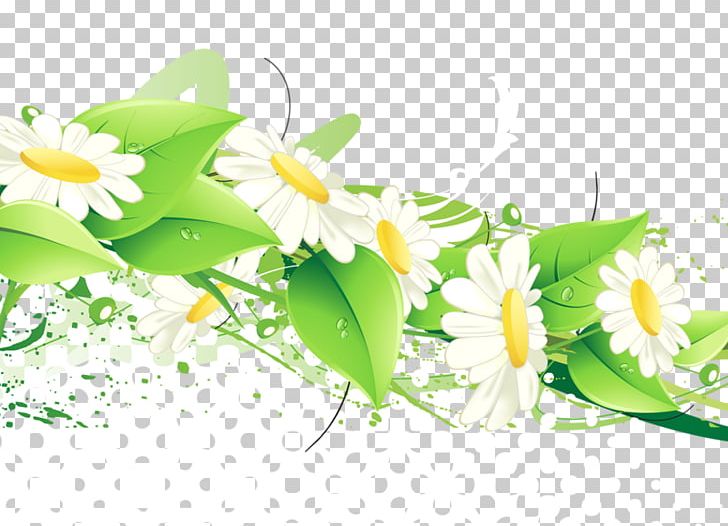 Flower Green PNG, Clipart, Bluegreen, Chrysanthemum, Color, Computer Wallpaper, Cut Flowers Free PNG Download