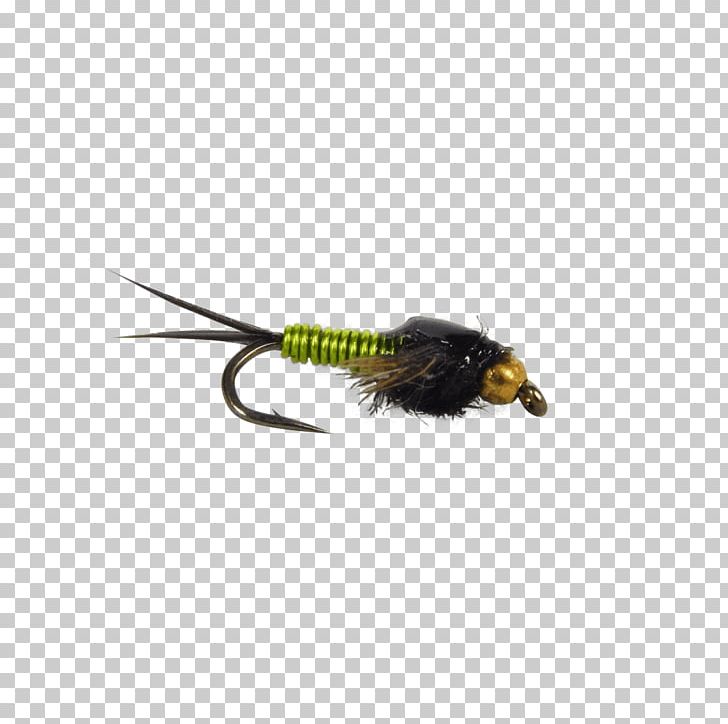 Insect PNG, Clipart, Animals, Card, Chartreuse, Gift, Gift Card Free PNG Download