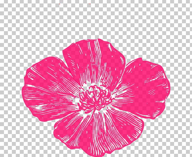 Poppies Bakery & Café Remembrance Poppy California Poppy PNG, Clipart, Armistice Day, Art, California Poppy, Computer Icons, Corals Free PNG Download