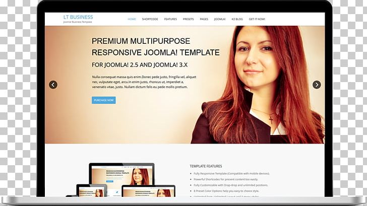 Responsive Web Design Professional Joomla! Web Page Template PNG, Clipart, Brand, Business, Communication, Display Advertising, Internet Service Provider Free PNG Download
