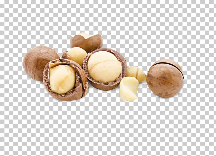 Macadamia Nut Praline Macadamia Nut Peanut PNG, Clipart, Almond, Candy, Chocolate, Dessert, Dried Fruit Free PNG Download