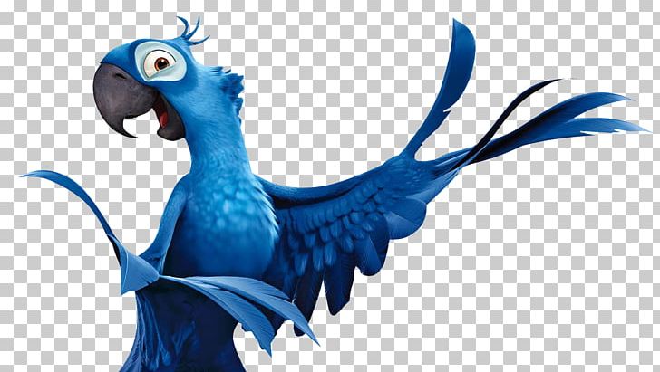 Parrot Blu Bird Rio De Janeiro Hyacinth Macaw PNG, Clipart, Animals, Animation, Beak, Bird, Blu Free PNG Download
