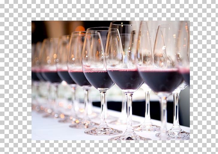 Wine Tasting Barolo DOCG Sparkling Wine Sommelier PNG, Clipart, Alcoholic Beverage, Alcoholic Drink, Barolo Docg, Barware, Benefit Free PNG Download
