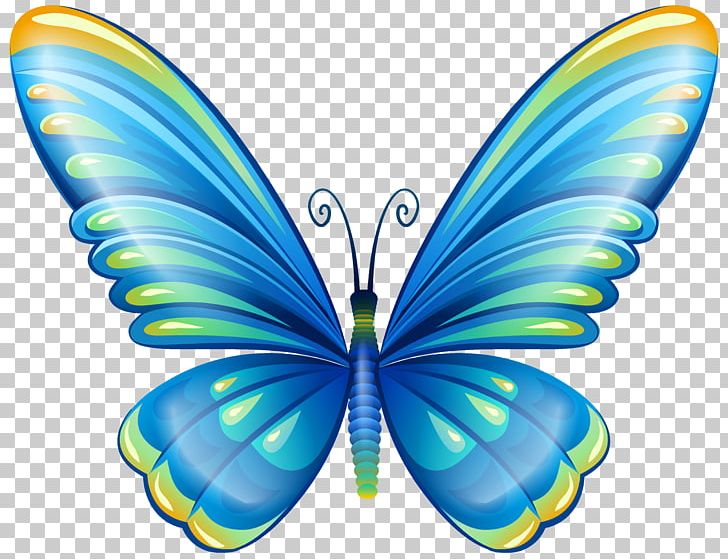 Butterfly PNG, Clipart, Art, Blog, Blue, Brush Footed Butterfly, Butterfly Free PNG Download