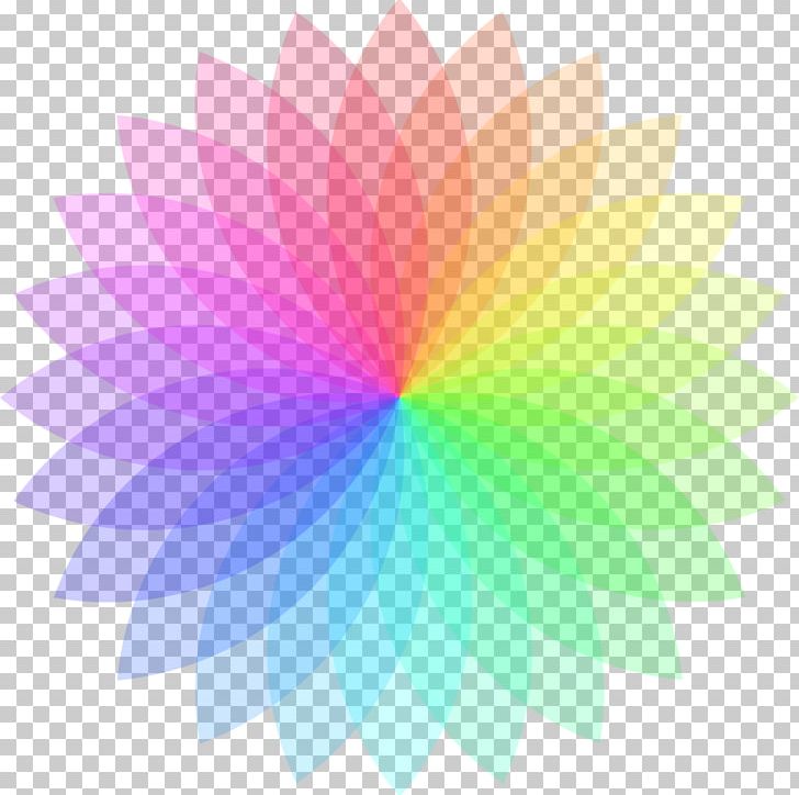 Circle Color Wheel PNG, Clipart, Circle, Color, Color Wheel, Computer Wallpaper, Flower Free PNG Download