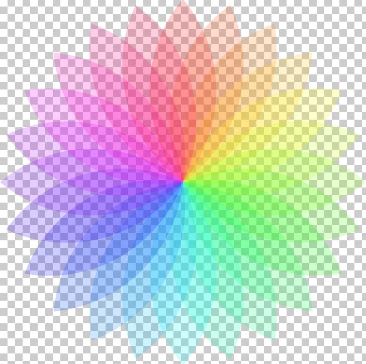 Circle Color Wheel Png Clipart Circle Color Color Wheel