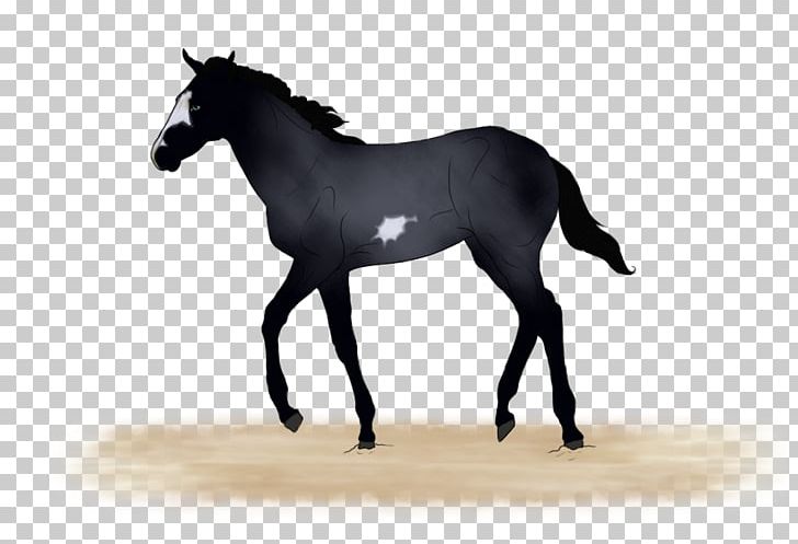 Horse Foal Křížení Heterosis Halter PNG, Clipart, Animals, Aretus, Black And White, Bridle, Colt Free PNG Download