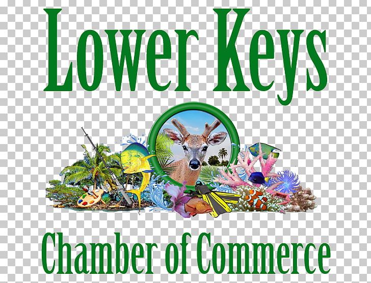 Key West Florida Keys Lower Keys Chamber Of Commerce Sea Vista Estate PNG, Clipart, Big Pine Key, Business, Chamber Of Commerce, Charlestown Chamber Of Commerce, Easter Free PNG Download