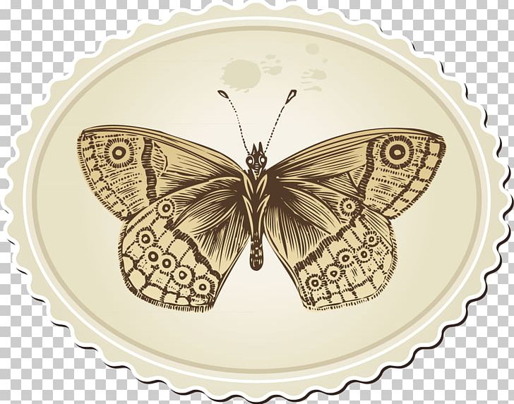 Paper Drawing PNG, Clipart, Brush, Brush Footed Butterfly, Moth, Note Paper, Notes Free PNG Download