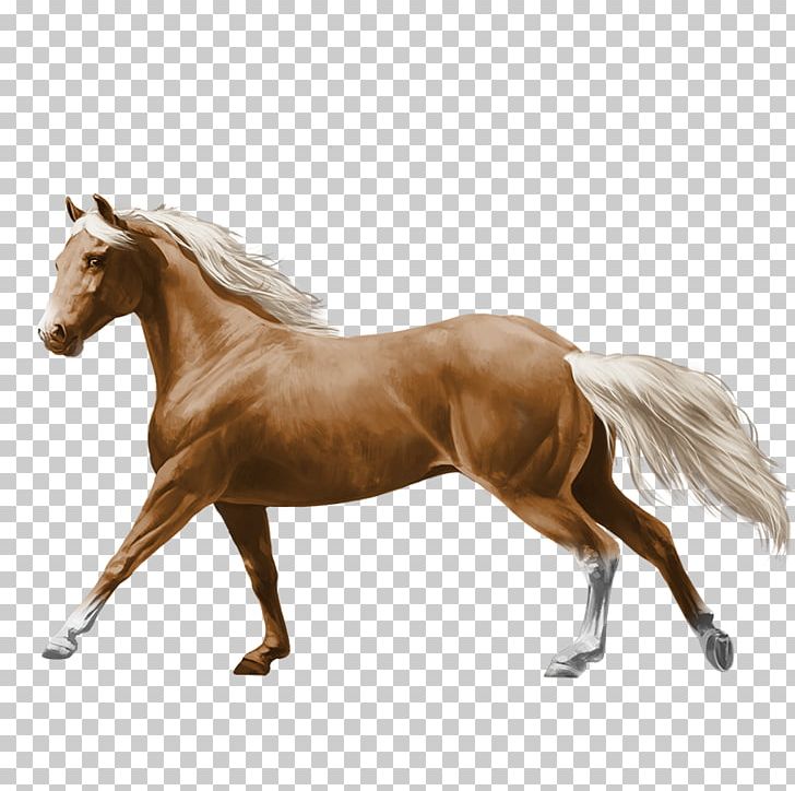 Stallion Mustang Pony Horse Harnesses Bridle PNG, Clipart, Animal Figure, Blog, Bridle, Dress, Ford Mustang Free PNG Download