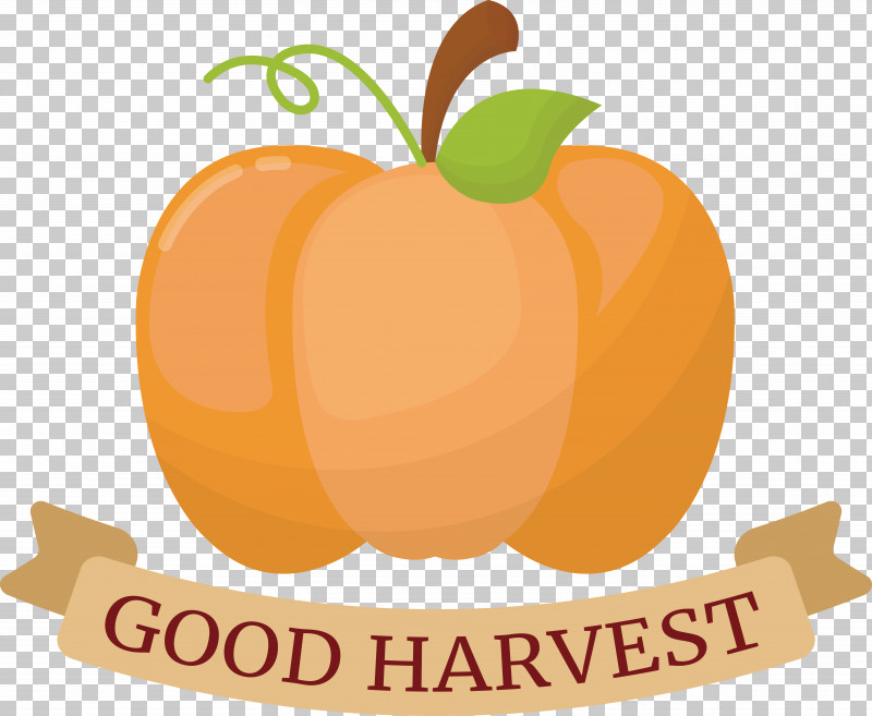 Thanksgiving PNG, Clipart, Good Harvest, Thanksgiving Free PNG Download