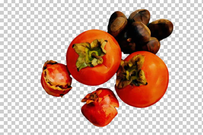 Tomato PNG, Clipart, Fruit, Genus, Local Food, Natural Food, Paint Free PNG Download