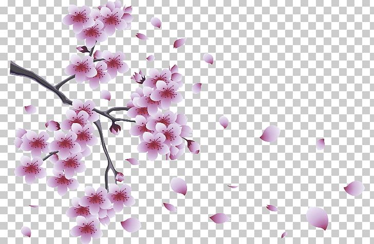 Flower Desktop Blossom PNG, Clipart, Blossom, Branch, Cherry Blossom, Computer Wallpaper, Cut Flowers Free PNG Download