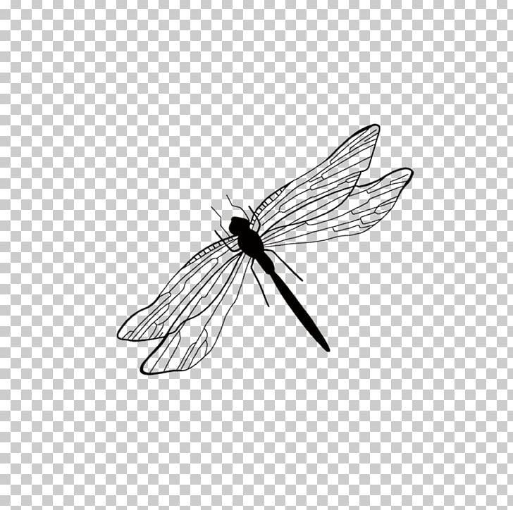 Insect Cartoon PNG, Clipart, Arthropod, Black, Black And White, Cartoon Dragonfly, Download Free PNG Download