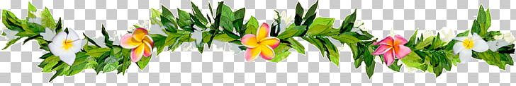 Maui Lei Frangipani Photography Plant Stem PNG, Clipart, Commodity, Computer Wallpaper, Desktop Wallpaper, Flower, Flowering Plant Free PNG Download