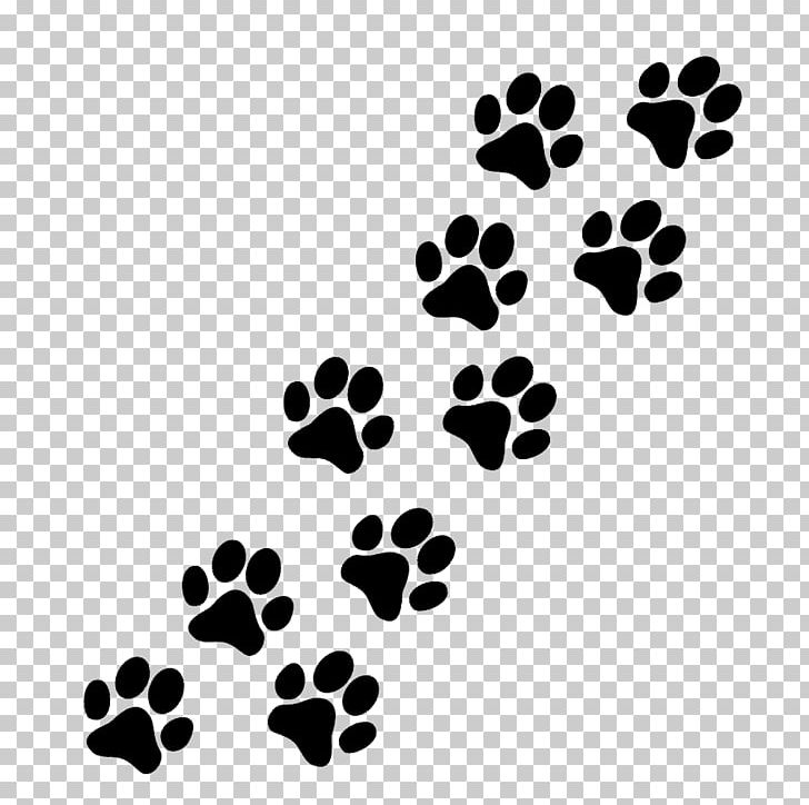 Paw Puppy Cat Pug PNG, Clipart, Animals, Aretus, Black, Black And White, Cat Free PNG Download