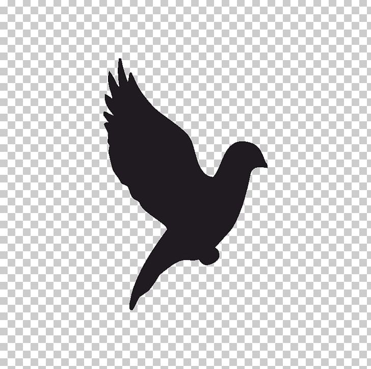 Sticker Symbol Logo Campervans Adhesive PNG, Clipart, Beak, Bird, Bird Of Prey, Black And White, Campervans Free PNG Download