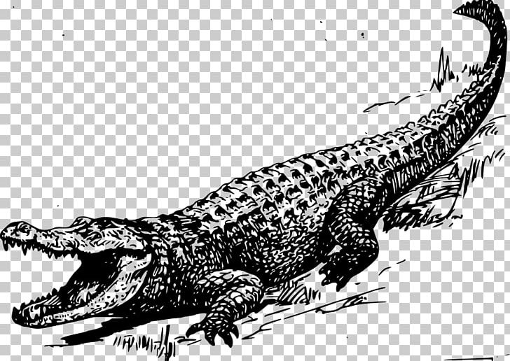 Alligator Crocodile Black And White PNG, Clipart, Alligator, Art, Black And White, Cartoon, Clip Art Free PNG Download