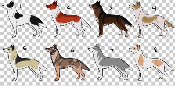 Dog Breed Whippet PNG, Clipart, Animal, Animal Figure, Breed, Camel Like Mammal, Carnivoran Free PNG Download