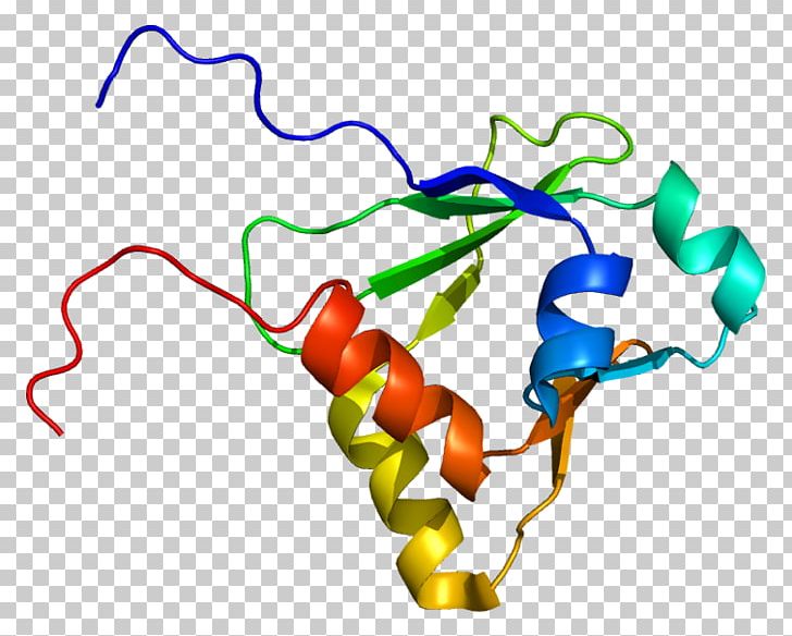 GTPase-activating Protein IQGAP1 Ras Subfamily SYNGAP1 Cell PNG, Clipart, 1 X, Area, Artwork, Cdc42, Cell Free PNG Download
