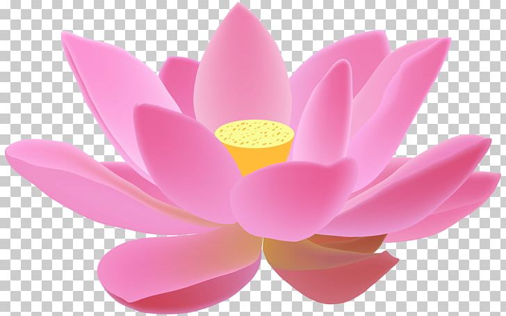 Lotus Cars Lotus Evora PNG, Clipart, Aquatic Plant, Candle, Clip Art, Clipart, Diwali Free PNG Download