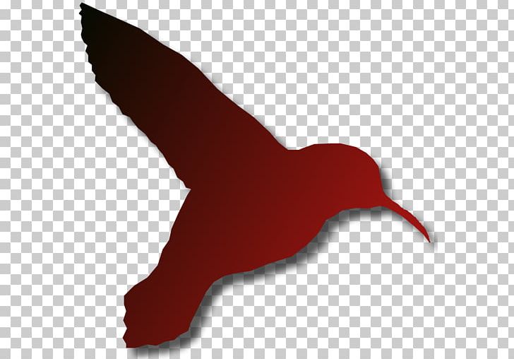 Beak Water Bird Silhouette PNG, Clipart, Animals, Beak, Bird, Kolibri, Red Free PNG Download