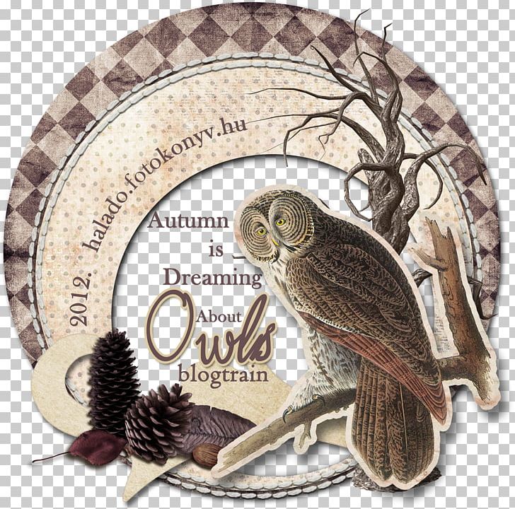 Great Grey Owl Beak CafePress Pillow PNG, Clipart, Animals, Beak, Bird, Bird Of Prey, Cafepress Free PNG Download