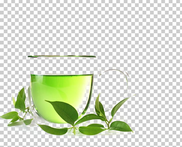 Green Tea Organic Food White Tea Oolong PNG, Clipart, Assam Tea, Board, Coffee Cup, Cup, Drink Free PNG Download