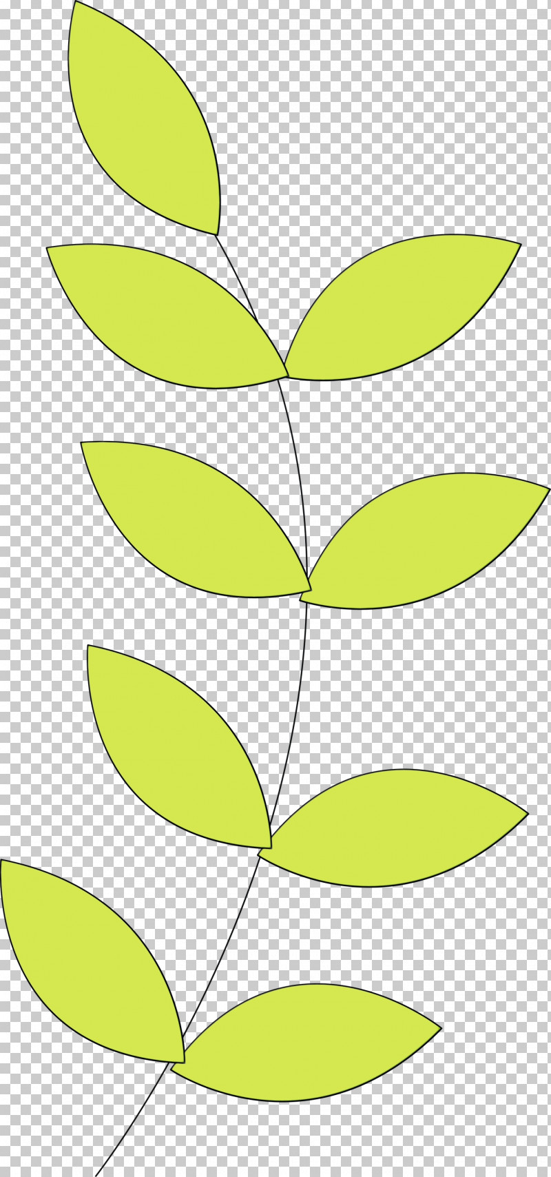 Leaf Plant Stem Angle Line Yellow PNG, Clipart, Angle, Area, Biology, Leaf, Line Free PNG Download